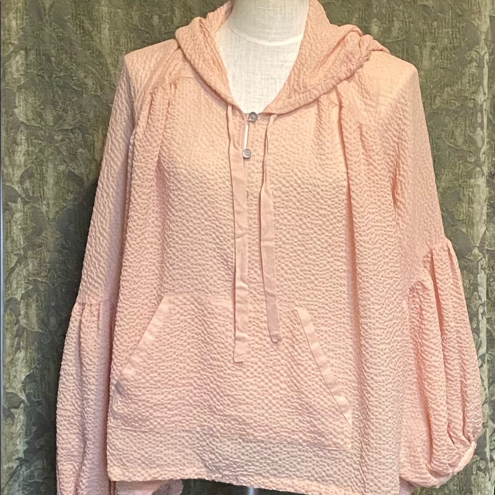 Urban outfitter silence + noise sheer pink hoodie blouse